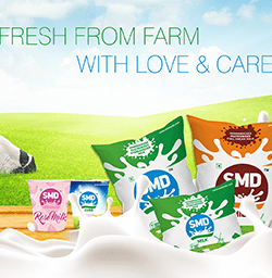 SMD Siva Sakthi Milk Dairy Branding Packaging Design Digital Marketing in Tiruppur by Violet Spark