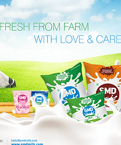 SMD Siva Sakthi Milk Dairy Branding Packaging Design Digital Marketing in Tiruppur by Creative Prints thecreativeprints