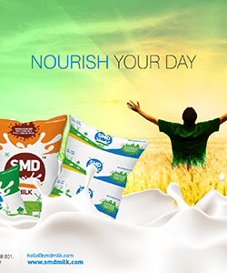 SMD Siva Sakthi Milk Dairy Branding Packaging Design Digital Marketing in Coimbaore by Violet Spark